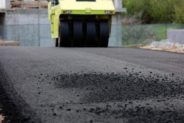 Best Commercial Driveway Pavers  in Zephyrhills South, FL